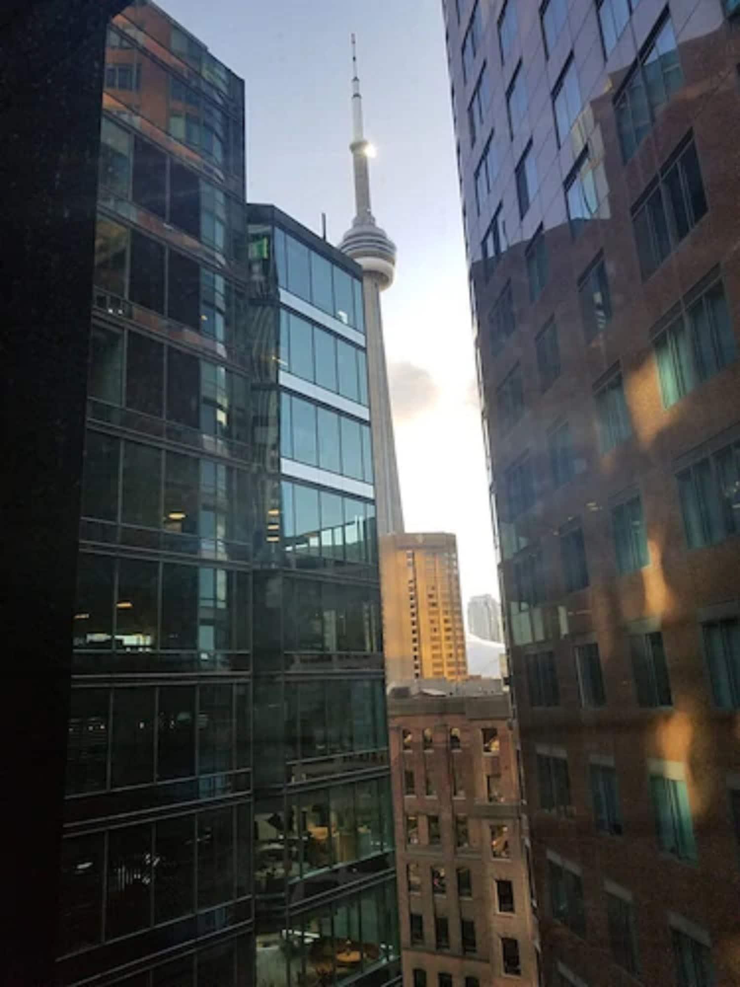 فندق تورونتوفي  فندق ذا ستراتكونا المظهر الخارجي الصورة